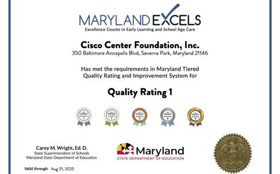 MSDECertificate - Excels 24-25